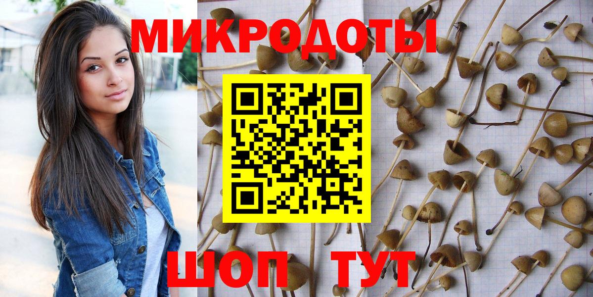 Псилоцибиновые грибы Psilocybine cubensis Ишим