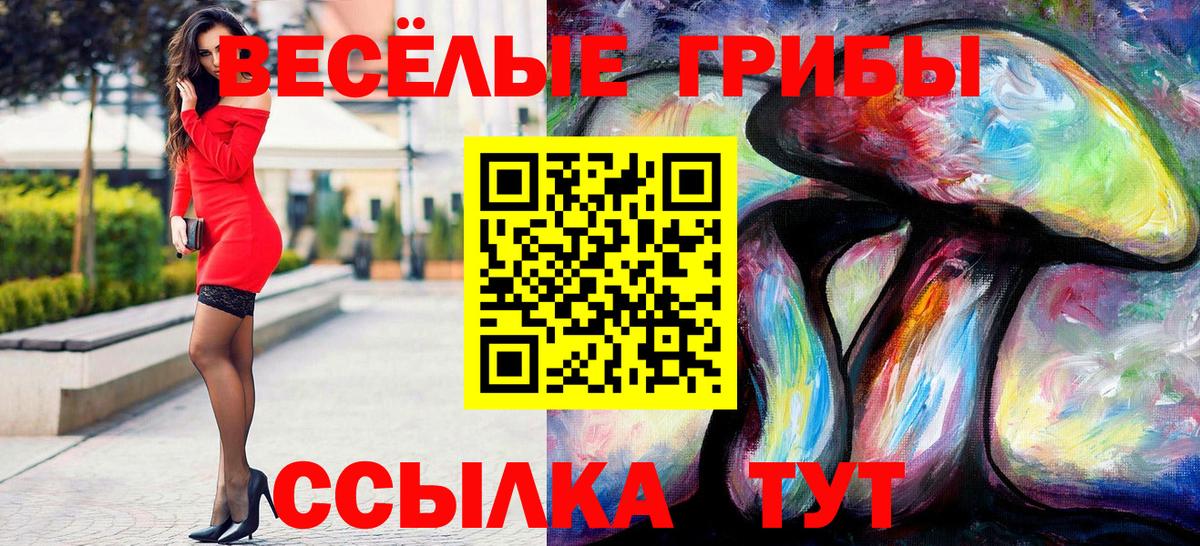 Ишим  Псилоцибиновые грибы Magic Shrooms  Вход с VPN 